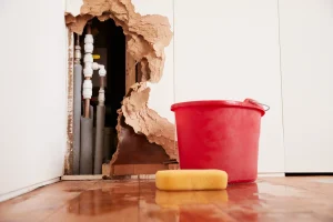 A sponge and bucket on a wet floor in front of a partially removed wall that has suffered water damage